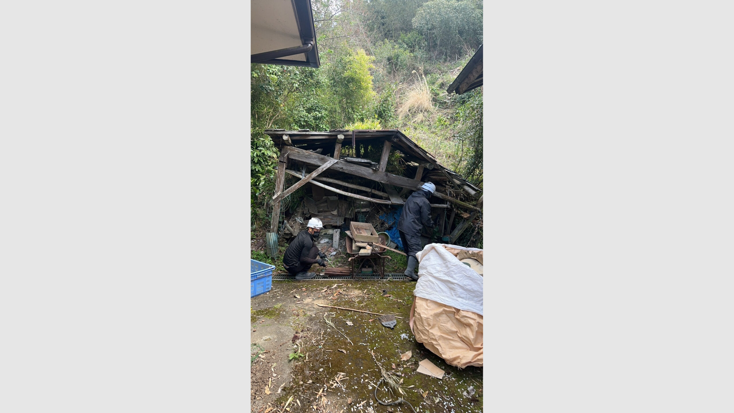半壊の納屋解体と伐採工事