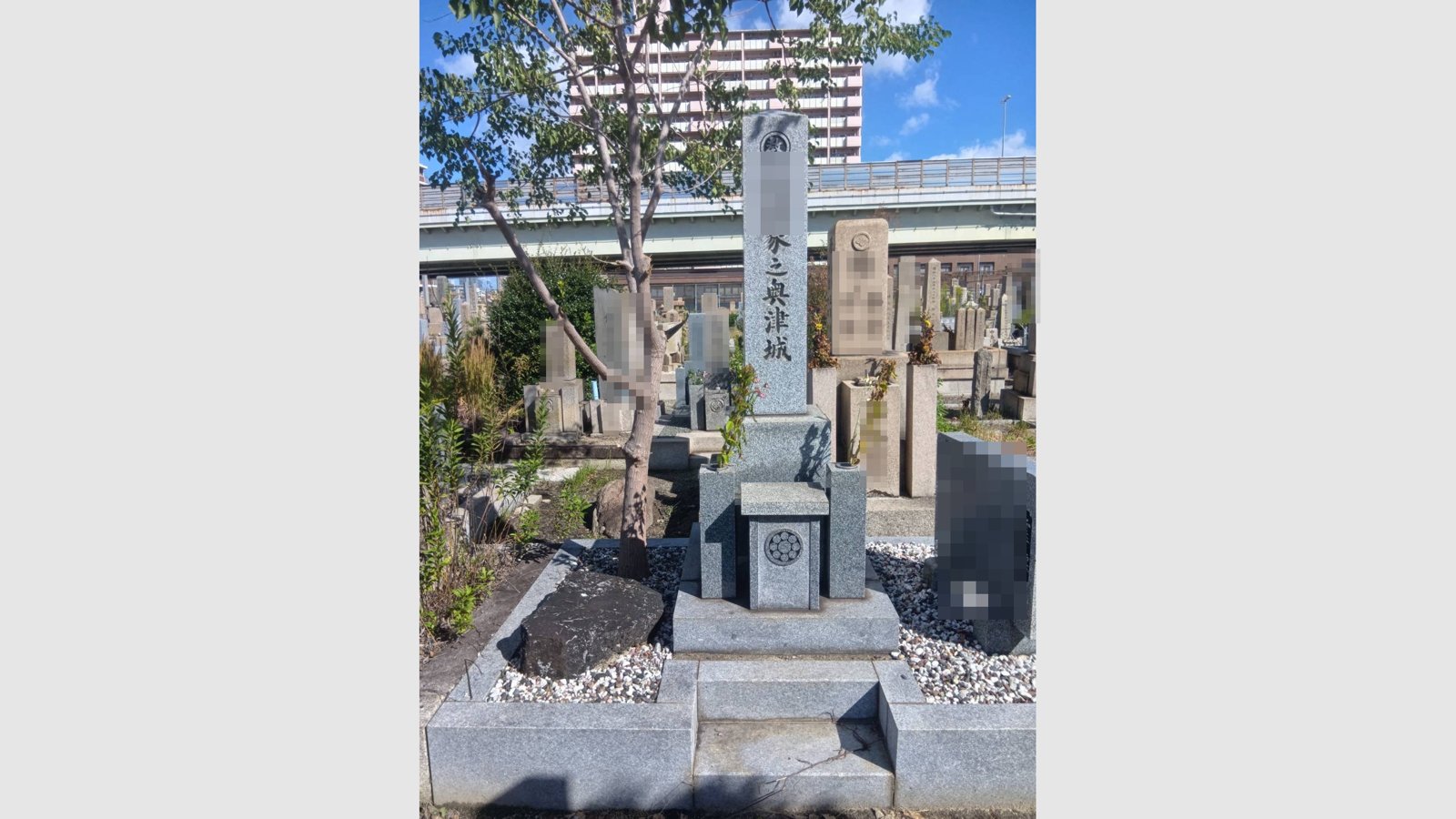お墓の敷地に生えた木の伐採工事